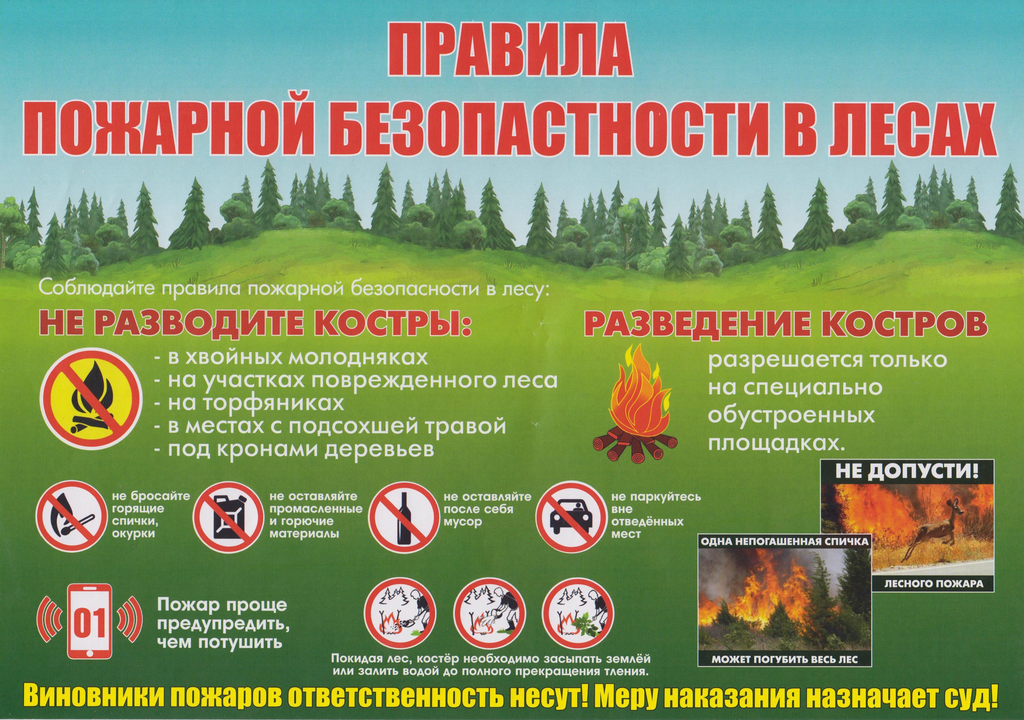 Сообщение